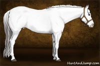 Horse Color:Liver Red Dun Ice Sabino Varnish