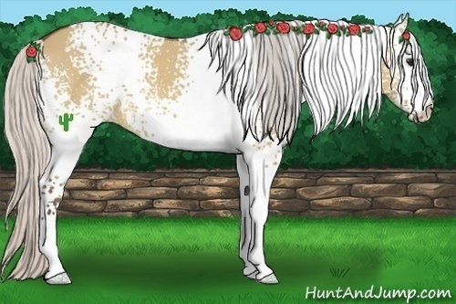 Horse Color:White Spotted Silver Bay Dun 