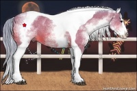 Horse Color:Watercolor White Spotted Bay Splash Tobiano 