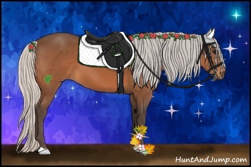 Horse Color:Silver Bay 