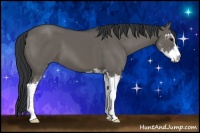 Horse Color:Grullo Sabino