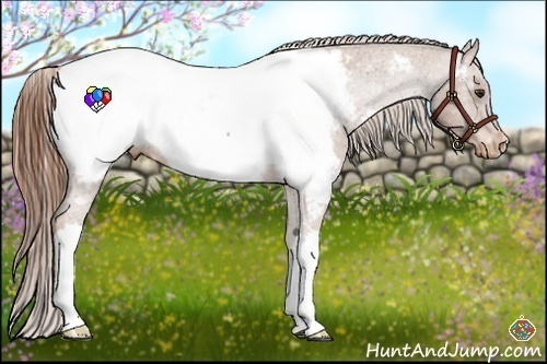 Horse Color:Chestnut Snowcap