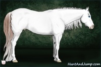 Horse Color:Bay Splash Tobiano Near Leopard