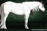 Horse Color:Liver Chestnut Sabino Frame 