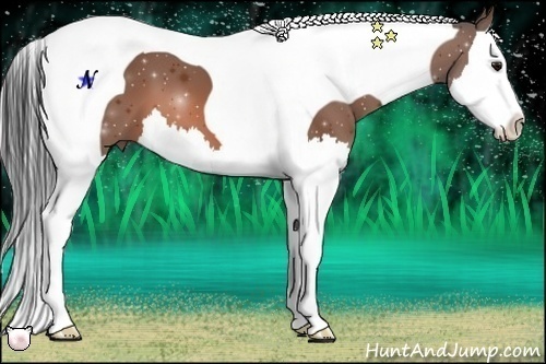 Horse Color:Bay Splash Tobiano 