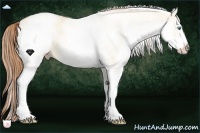 Horse Color:White Spotted Smoky Grullo Roan Pearl Rabicano