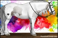 Horse Color:Grullo Splash Tobiano 