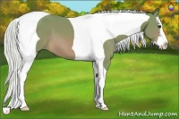 Horse Color:Watercolor Silver Bay Splash Tobiano 
