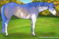 Horse Color:Watercolor Bay Sabino