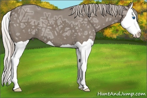 Horse Color:Silver Grullo Ice Splash 