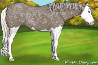 Horse Color:Silver Grullo Ice Splash