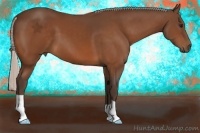Horse Color:Silver Bay 
