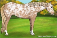 Horse Color:Chestnut Ice 