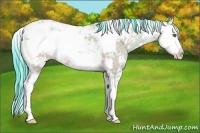 Horse Color:Watercolor Amber Champagne Sabino