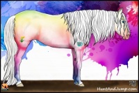 Horse Color:Silver Grullo Pearl Splash Snowcap 
