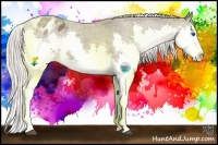 Horse Color:Silver Black Splash Varnish Rabicano 