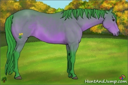 Horse Color:Watercolor Bay 