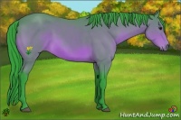 Horse Color:Watercolor Bay 