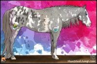 Horse Color:White Spotted Black Splash Frame Appaloosa