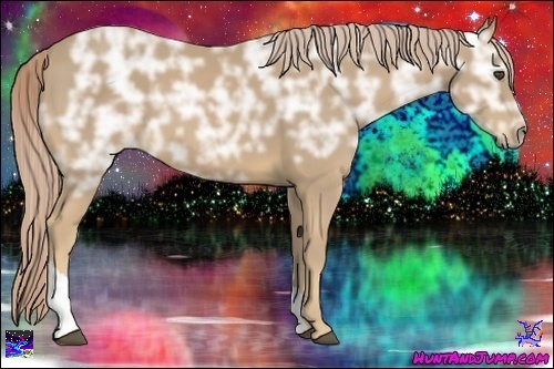 Horse Color:Palomino Ice Tobiano Rabicano 