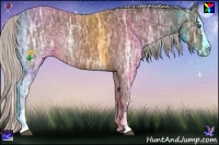 Horse Color:Silver Bay Ice Splash 