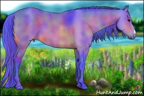 Horse Color:Nacre Watercolor Buckskin 