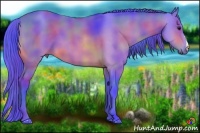 Horse Color:Nacre Watercolor Buckskin 