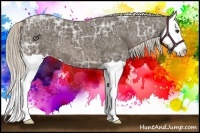 Horse Color:Chocolate Palomino Ice Splash 