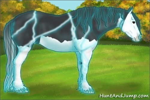 Horse Color:Thunderstruck Black Splash 
