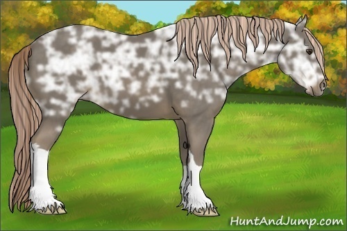 Horse Color:Chocolate Palomino Ice