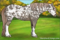 Horse Color:Chocolate Palomino Ice