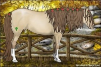 Horse Color:Grullo Pearl