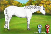 Horse Color:Gray Black 