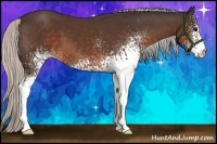 Horse Color:White Spotted Silver Brown