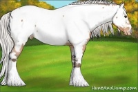 Horse Color:White Spotted Silver Bay Near Fewspot 