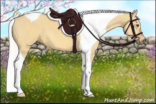 Horse Color:Silver Buckskin Dun Tobiano