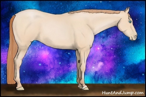 Horse Color:Buckskin Pearl 