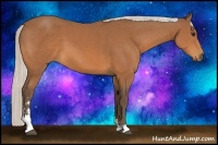 Horse Color:Silver Bay Sabino