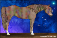 Horse Color:Gray Nacre Chestnut