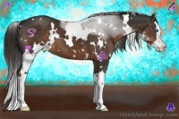 Horse Color:White Spotted Liver Chestnut Splash 