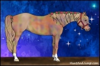Horse Color:Nacre Chestnut 