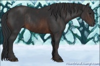Horse Color:Brown Rabicano Brindle