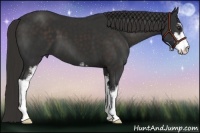 Horse Color:Liver Chestnut Sabino 