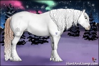 Horse Color:Chestnut Snowflake Varnish 