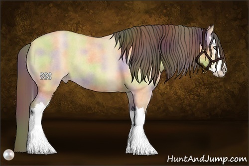 Horse Color:Nacre Amber Champagne Roan Dun Splash 