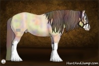 Horse Color:Nacre Amber Champagne Roan Dun Splash 
