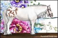 Horse Color:Silver Bay Roan Tobiano Varnish