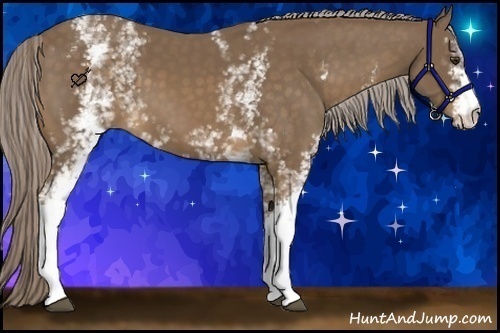 Horse Color:White Spotted Chocolate Palomino