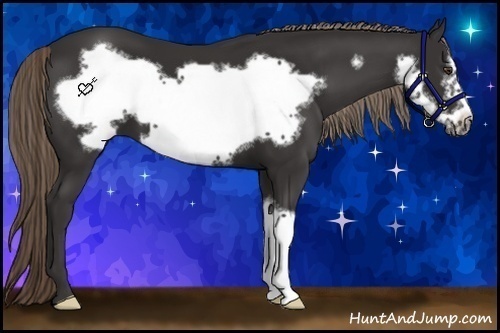 Horse Color:Liver Chestnut Frame 