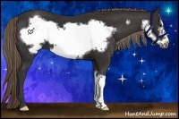 Horse Color:Liver Chestnut Frame 